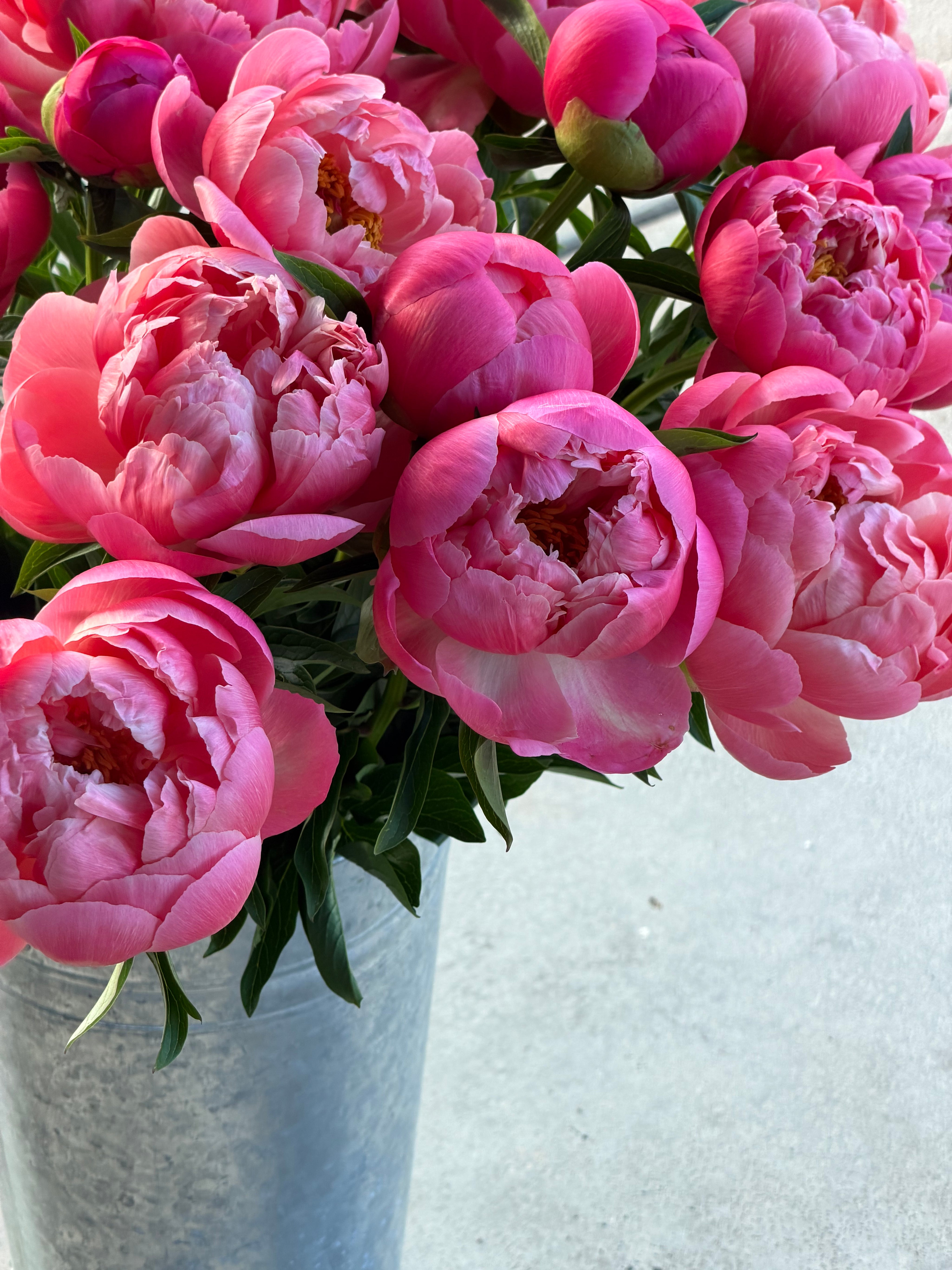 Kitchen Table Flowers