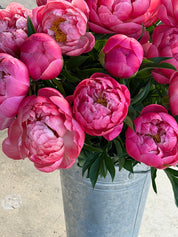 Kitchen Table Flowers