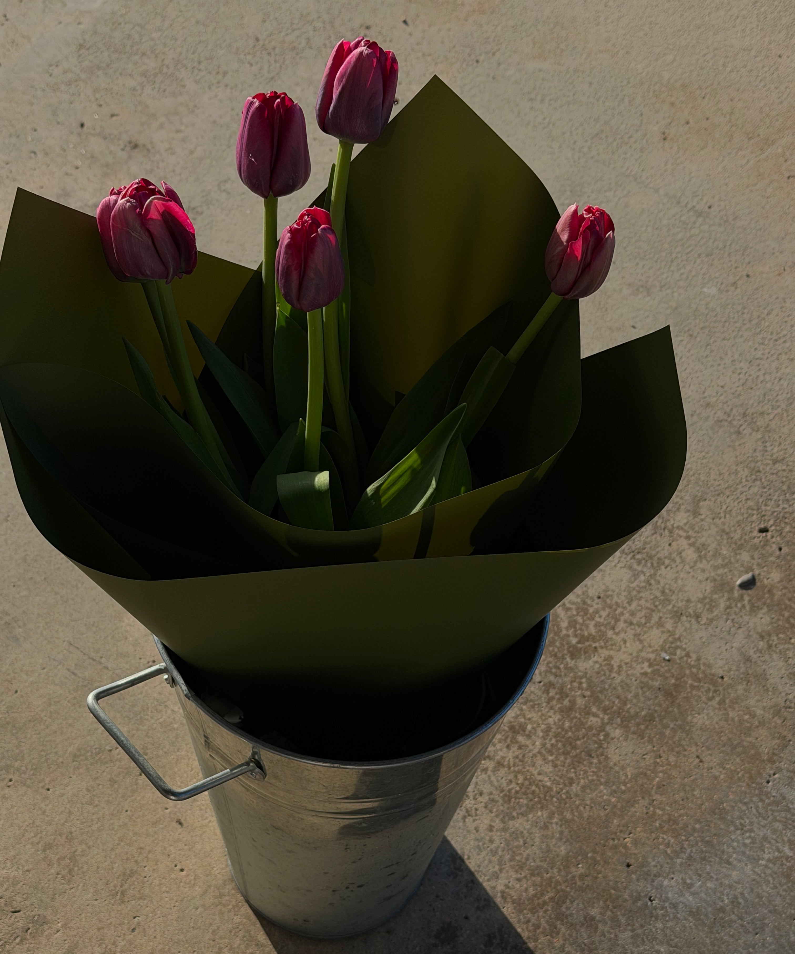 IMG-4877.heic