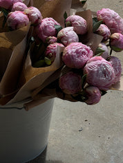 Kitchen Table Flowers
